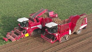 Insolite 2 x Grimme Maxtron 620  Maxtron transbordeur Drone  HD [upl. by Aldwon916]