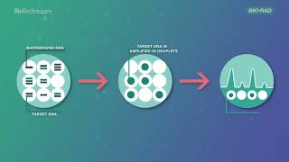 An introduction to Droplet Digital PCR [upl. by Claire]