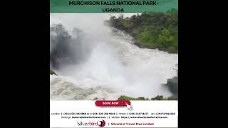 murchison falls national park uganda [upl. by Ardnuaed748]