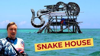 Mindanaos MOST DANGEROUS House 100 SEA SNAKES Live Here [upl. by Eittah]