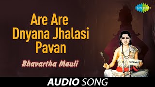 Are Are Dnyana Jhalasi Pavan  अरे अरे ज्ञान झालासी पावन  Lata Mangeshkar  Bhavartha Mauli [upl. by Nart]