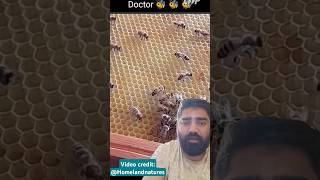 Honey bee doctor मधु मक्खी डॉक्टर shorts viral nature bee [upl. by Elram]