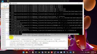 19c silent installation on Linux 8 [upl. by Illac657]