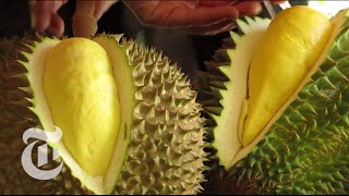 Durian  The Worlds Smelliest Fruit  The New York Times [upl. by Aimat]