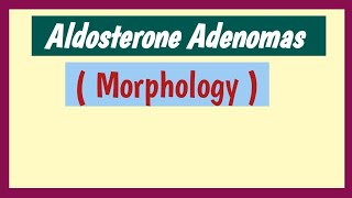 Aldosterone Adenomas Morphology [upl. by Innoc]