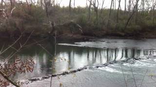 Pristine Native American Fish Weir Trap [upl. by Lilith]