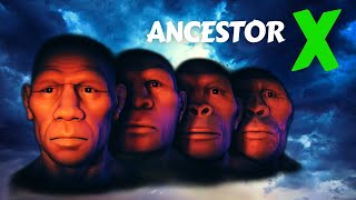 Ancestor X  The Last Common Ancestor of Neanderthals and Homo Sapiens [upl. by Lin]