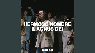 Hermoso Nombre  Agnus Dei Cover [upl. by Idnic]