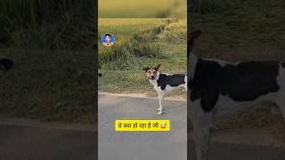 Tu Kaun Hai Be  Sab LOol Hai funny sabloolhai animal [upl. by Grassi]