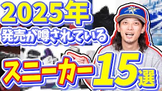 【スニーカー】すでにやばい！！来年2025年に発売が噂されているスニーカー 15選 [upl. by Vickey]