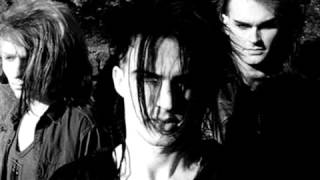 Skinny Puppy Assimilate [upl. by Itch]