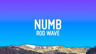 Rod Wave  Numb Lyrics [upl. by Rosenblum]