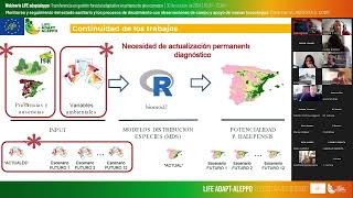 Detección Temprana de procesos de decaimiento de masas de pino carrasco LIFE ADAPTALEPPO [upl. by Chemosh108]