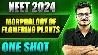 MORPHOLOGY OF FLOWERING PLANT in 1 Shot FULL CHAPTER COVERAGE TheoryPYQs  Prachand NEET [upl. by Willard375]