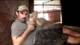 Kevin Richardson a very special Lioness amp her Cubs [upl. by Aiken]