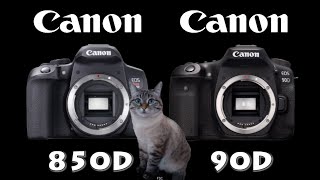 Canon EOS 850D  Rebel T8i vs Canon 90D [upl. by Mairim]