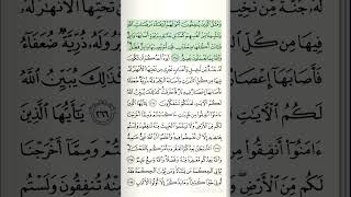 surahalkahfwithurdutranslation surahalbaqar islamicscripture surahbaqarahsubscribeme1992 [upl. by Cynde817]