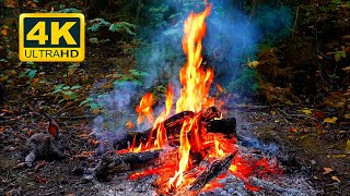 🔥 Campfire 4K Magical autumn forest sounds of nature and crackling fire sounds [upl. by Eveivenej865]