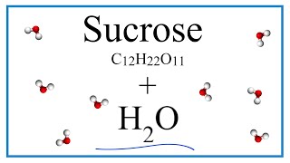 Equation for C12H22O11  H2O Sucrose  Water [upl. by Nessnaj]