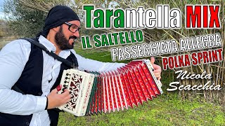 Tarantella MIX NICOLA SCACCHIA campione del mondo di organetto [upl. by Arinaj13]