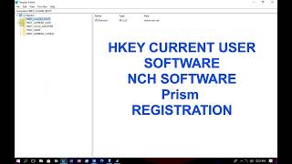 How to Use Prism Video File Converter Without a Registration Code NCH Software [upl. by Aggi]