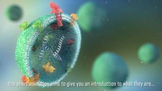 Extracelluar vesicles an introduction [upl. by Neddy]