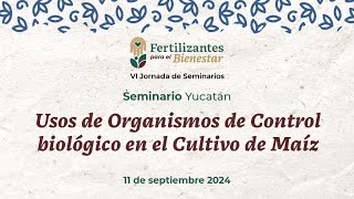 S3 Yucatán Usos de Organismos de Control biológico en el Cultivo de Maíz [upl. by Reifnnej]