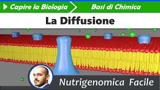 Chimica  Trasformazioni la Diffusione [upl. by Euqinwahs]