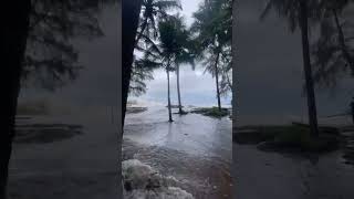 Sea is angry Kannur [upl. by Golden]