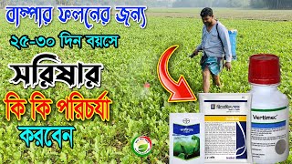 সরিষার দিগুর ফলন পতে হলে 2530 দিনে কি কি কীটনাশকছত্রাক নাশকভিটামিন ও পরিচর্যা করবেন।সরিষা চাষ [upl. by Laleb]