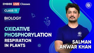 Oxidative Phosphorylation  Respiration in Plants  Biology Class 11 Science  Salman Anwar Khan [upl. by Einaoj]