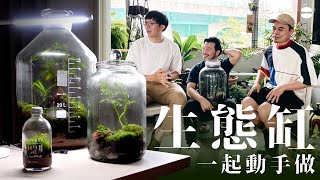 生態缸其實超簡單  生態缸 DIY 室內植栽 [upl. by Yrnehnhoj]