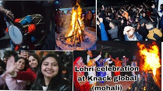 Lohri celebration at Knack global  mohali🤗🤗🤗 [upl. by Ardnuyek603]