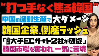 【打つ手なく焦る韓国政府】中国の過剰生産で大ダメージ「韓国企業、倒産ラッシュ」韓国大手ECサイト2社が破綻…韓国市場を奪われ、一気に苦境 [upl. by Calmas]