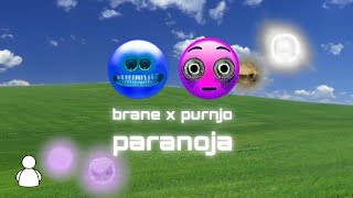 brane x purnjo  paranoja Official Lyrics [upl. by Swayder]