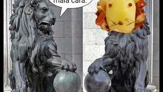 Los mejores memes del León come gamba xD leoncomegamba MasterChef de Alberto [upl. by Patricia]