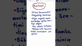 Kortizol nedir [upl. by Sheaff]