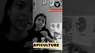 Apiculture of Honeybee  Economic Zoology youtubeshorts shorts biology neet bsc [upl. by Alexandro]