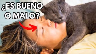 Las CONSECUENCIAS de DORMIR con tu GATO [upl. by Davis]