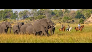 Safari at Macatoo  Botswana [upl. by Condon]