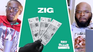 Does Zimbabwes New Currency the Zig Have Value [upl. by Allerbag]