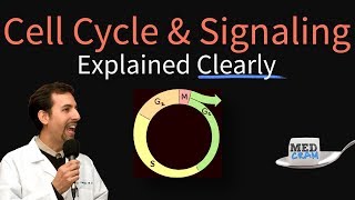 Cell Cycle Cell Signaling and Disease Explained Clearly [upl. by Terej84]