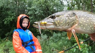 Northern Pike Fishing Catch Clean amp Cook in Alaska  these Pike are full of LEECHES [upl. by Tseng906]