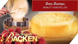 Biskuit herstellen So funktionierts ganz einfach  Bettys Backtipps Das große Backen 2023 SAT1 [upl. by Meekar]