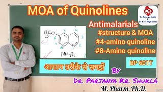 Mechanism of Action of Quinolines  Chloroquine Pamaquine Amodaquine Primaquine  BP 601T [upl. by Raphaela348]