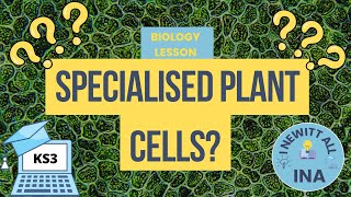 Specialised Plant Cells KS3 Biology Revision [upl. by Niela358]