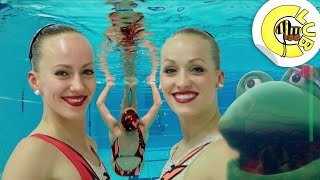 Coole Action im Wasser  Synchronschwimmen  Tigerenten Club  SWR Plus [upl. by Atikkin991]