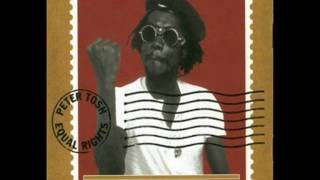 Peter Tosh  You Can´t Blame the Youth Outtake [upl. by Ahsiekat]