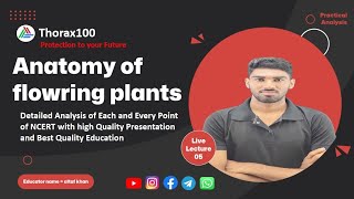 Anatomy of flowering plants Lecture 05 for Class 11 amp NEET Thorax100 [upl. by Amrac]