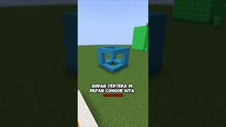 3 Ilusi Minecraft Paling Ambigu [upl. by Medardas]